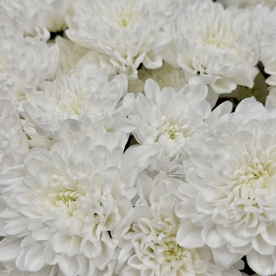 Букет Нежные объятия Букет Нежные объятия