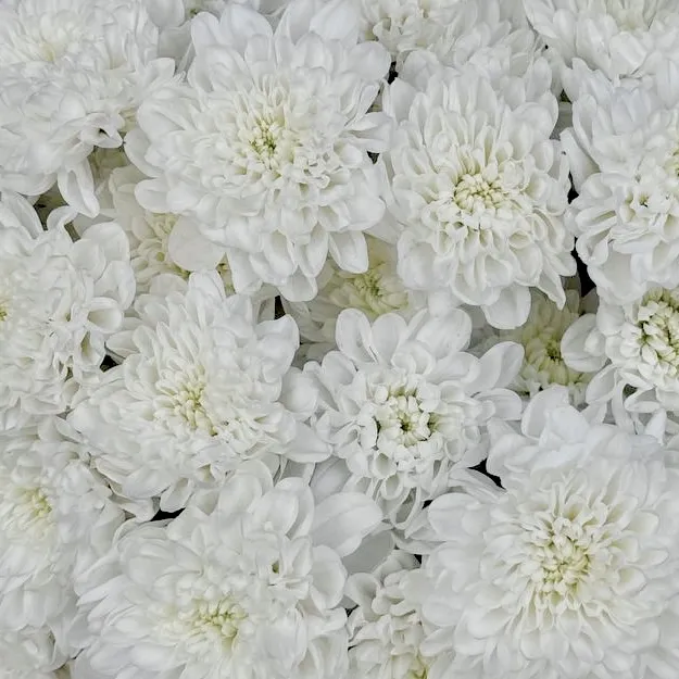 Букет Нежные объятия Букет Нежные объятия