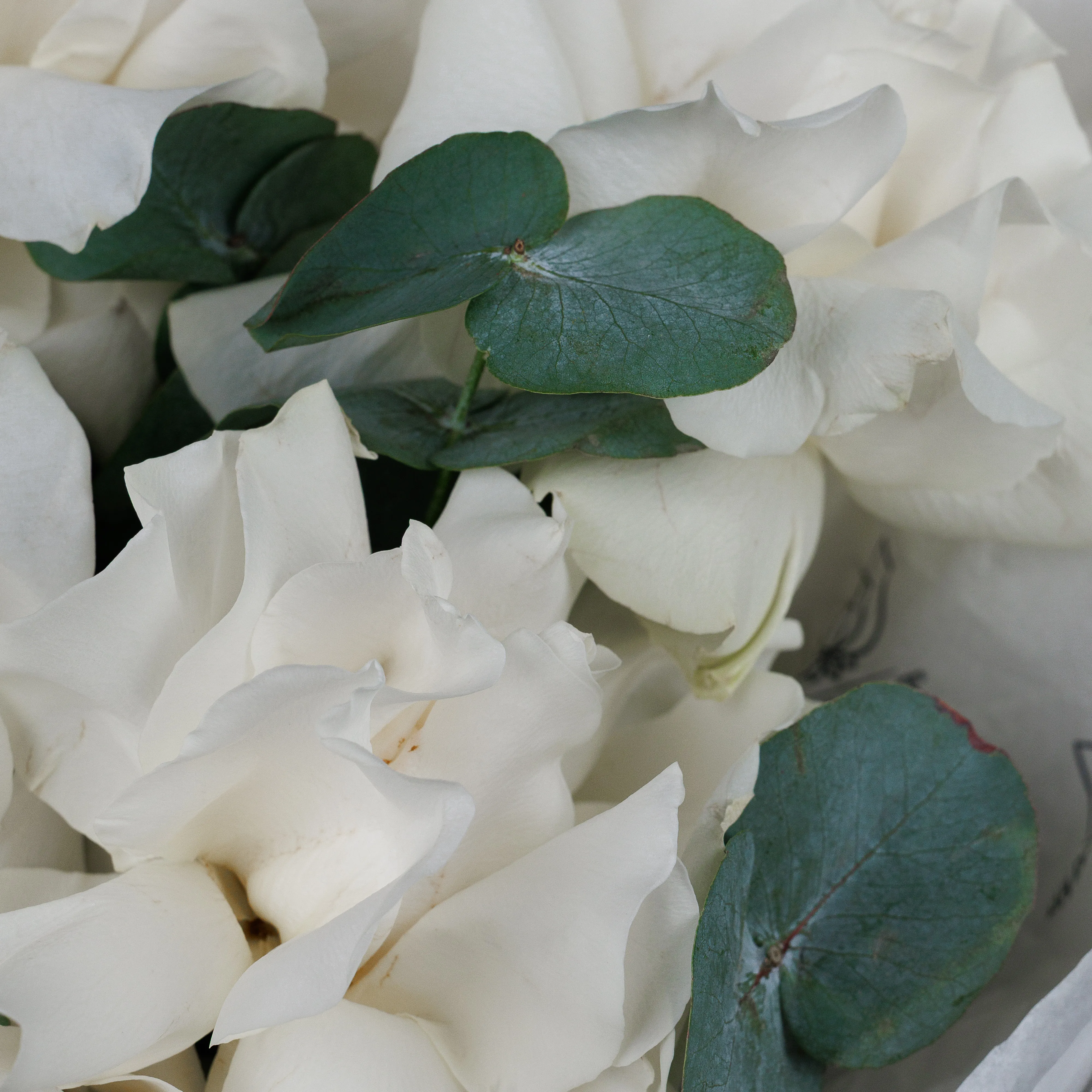 Букет Танец балерины