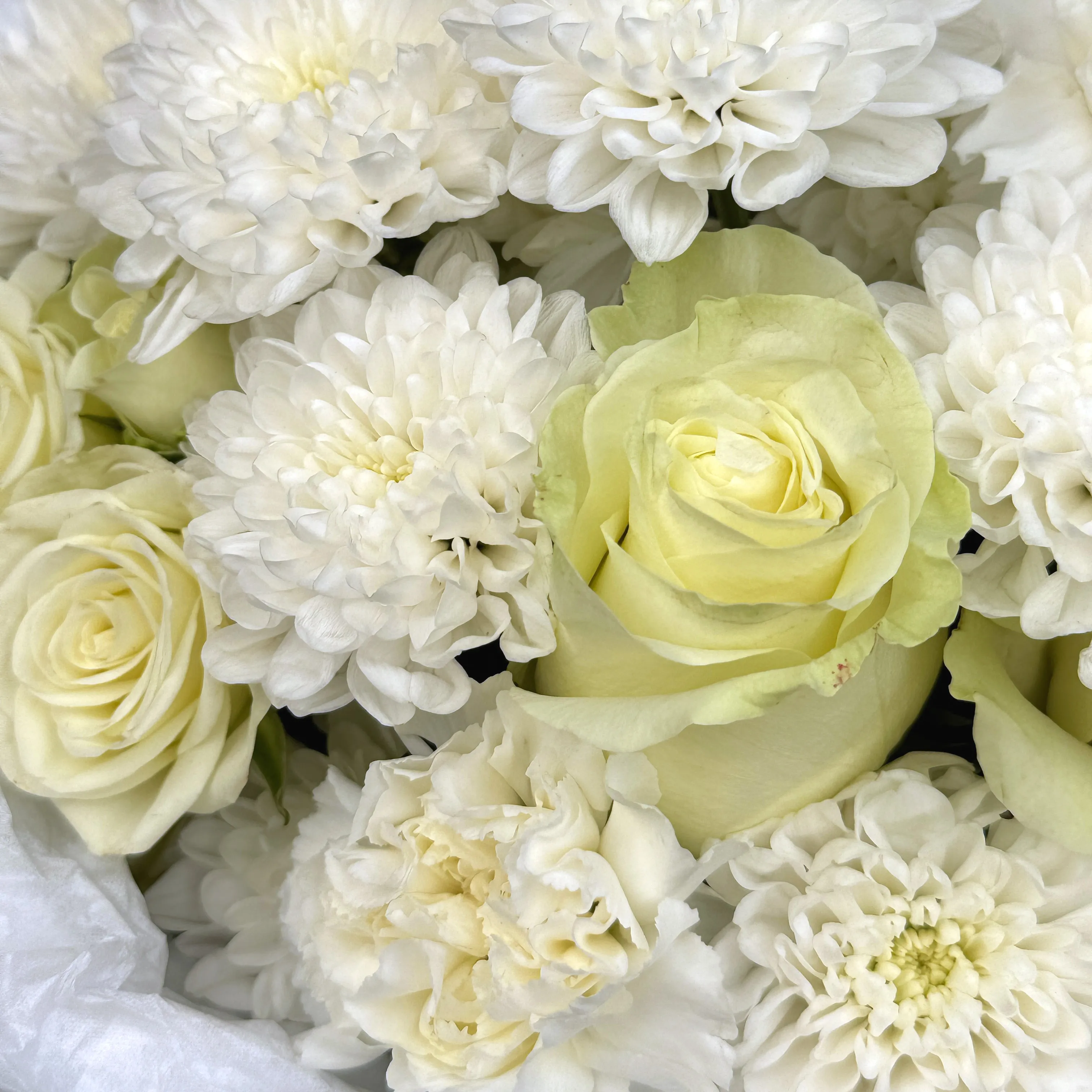 Букет Тихая нежность Букет Тихая нежность