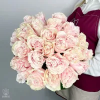 Букет Букет из 25 розовых роз под ленту Букет Букет из 25 розовых роз под ленту