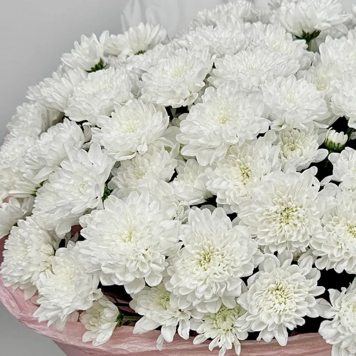 Букет Пудровый штиль Букет Пудровый штиль