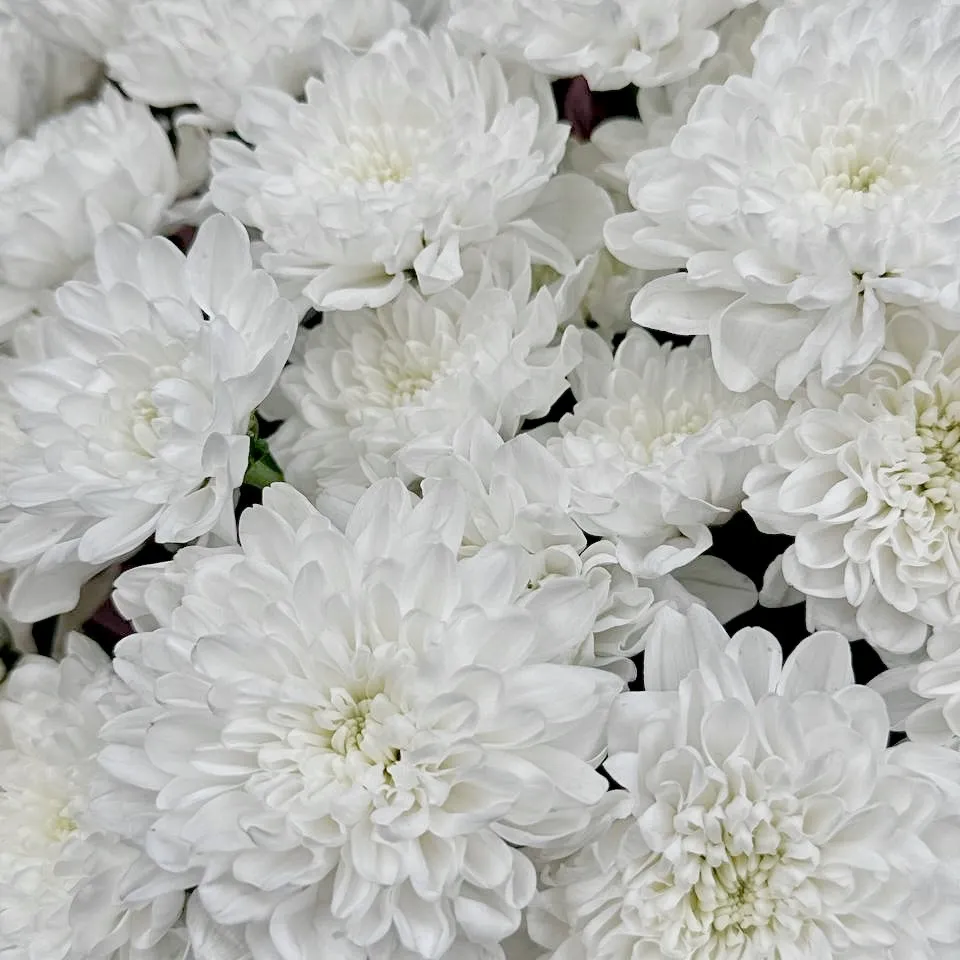 Букет Пудровый штиль Букет Пудровый штиль