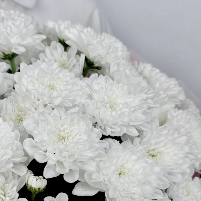 Букет Пудровый штиль Букет Пудровый штиль