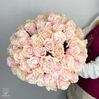 Букет Букет из 51 розовой розы под ленту Букет Букет из 51 розовой розы под ленту