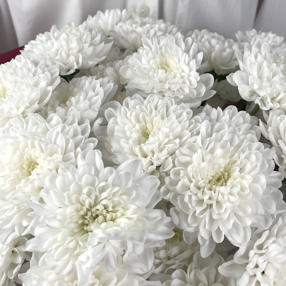 Букет Белое кружево