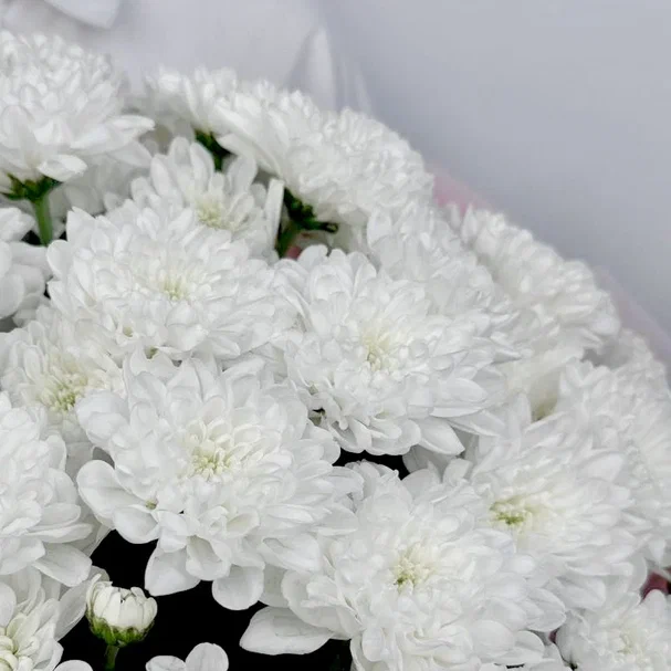 Букет Пудровый штиль