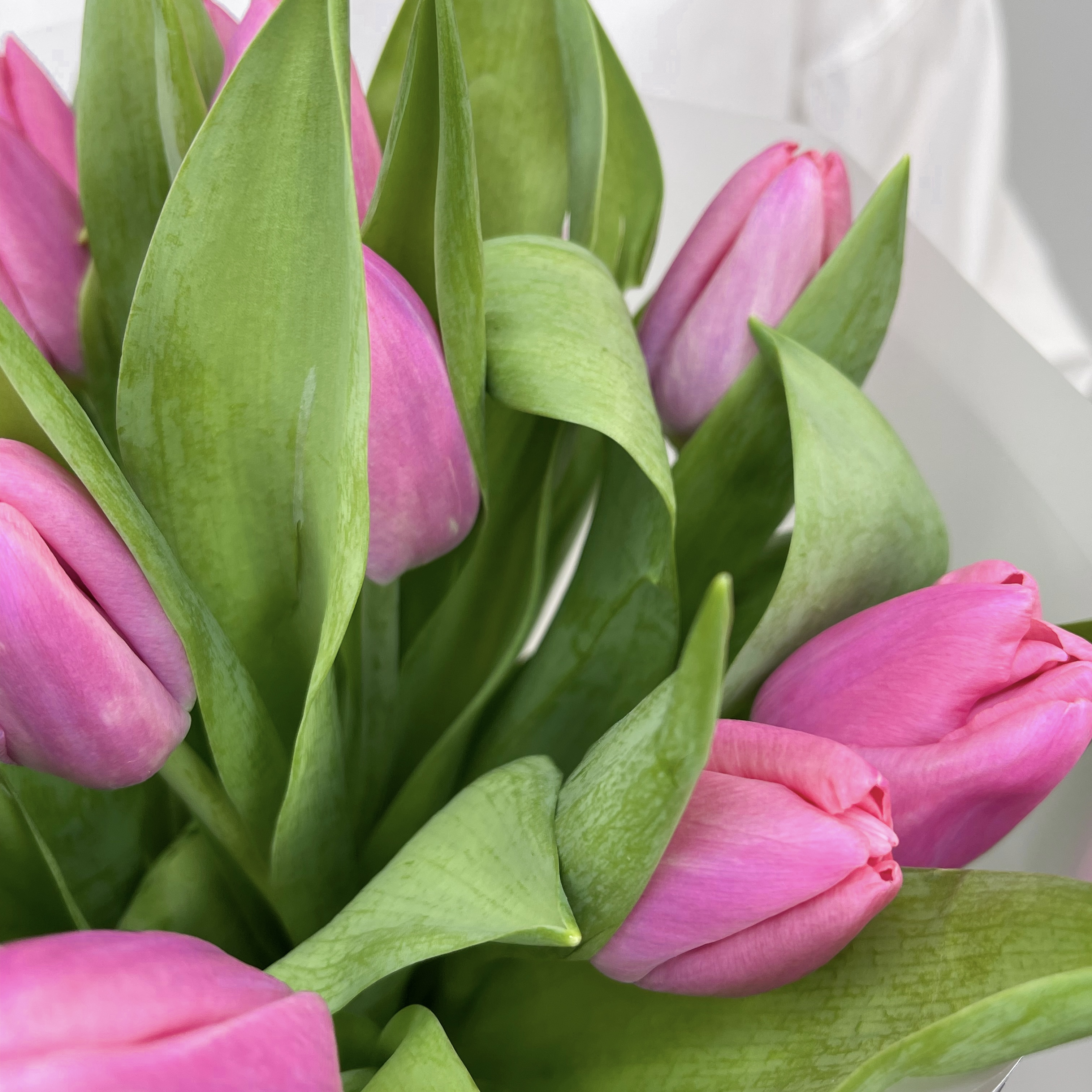 Букет Монобукет из розовых тюльпанов №2