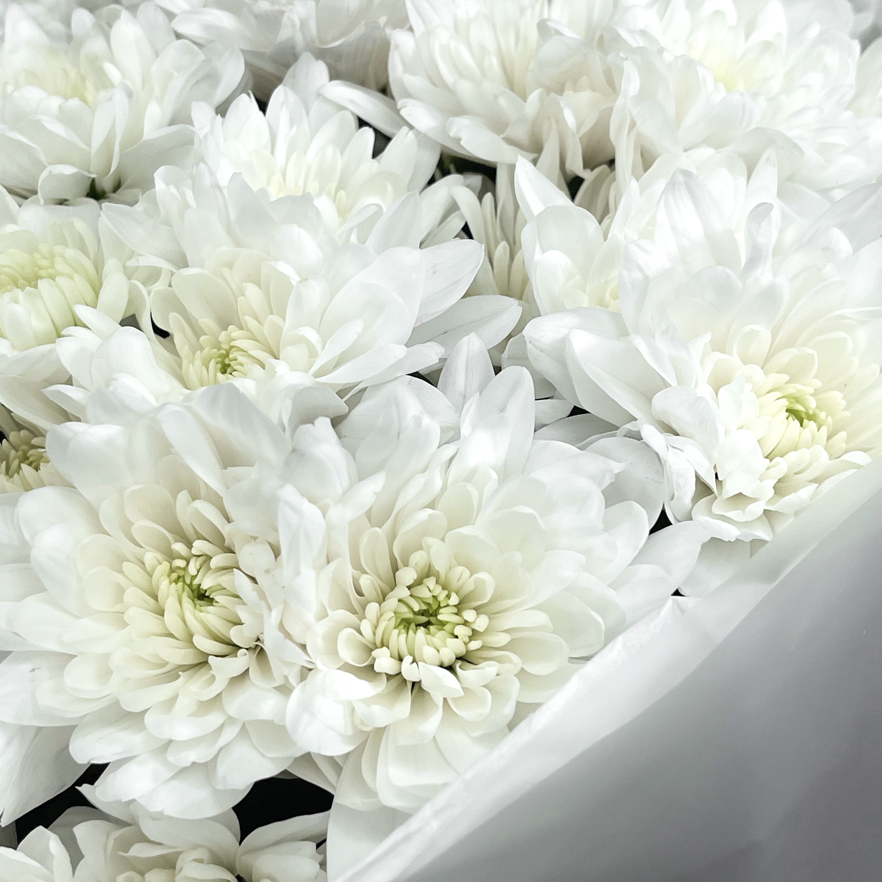 Букет Белый вальс