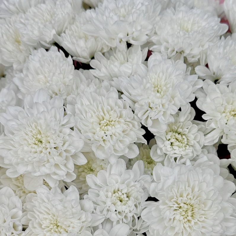 Букет Нежные объятия