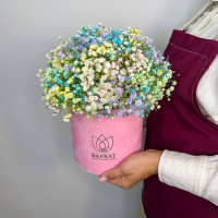 Букет Радуга красок в розовом боксе