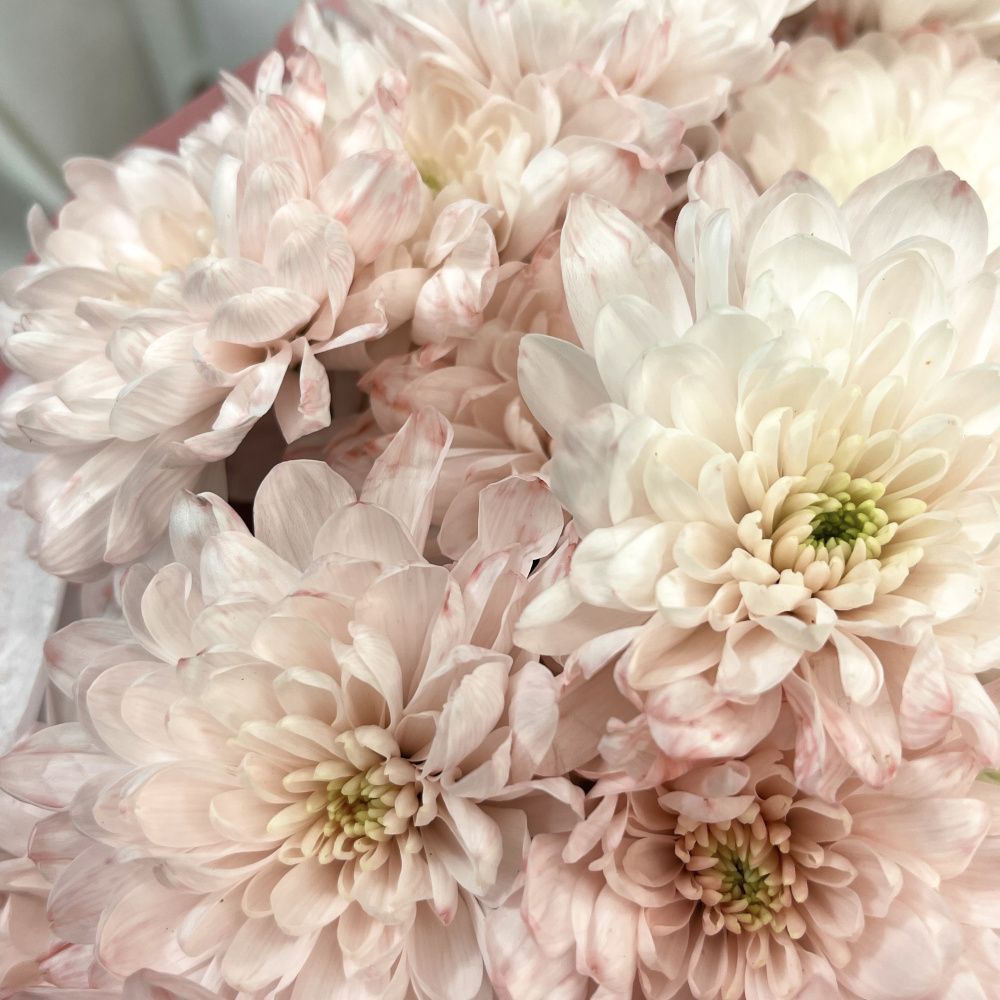 Букет Джульетта S