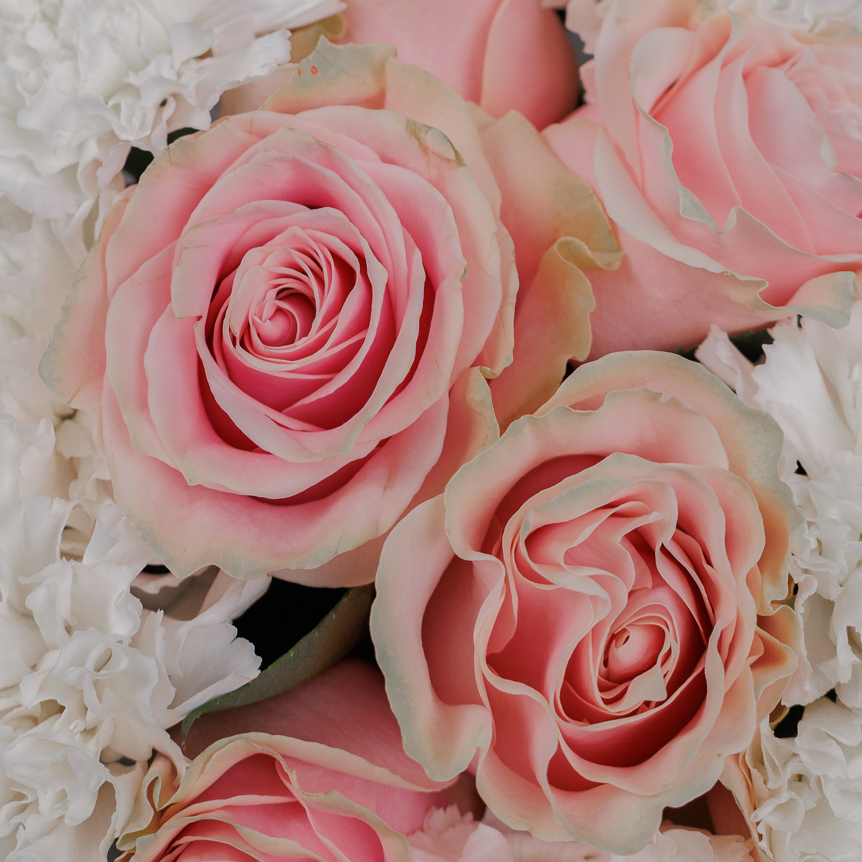 Букет Букет мечты