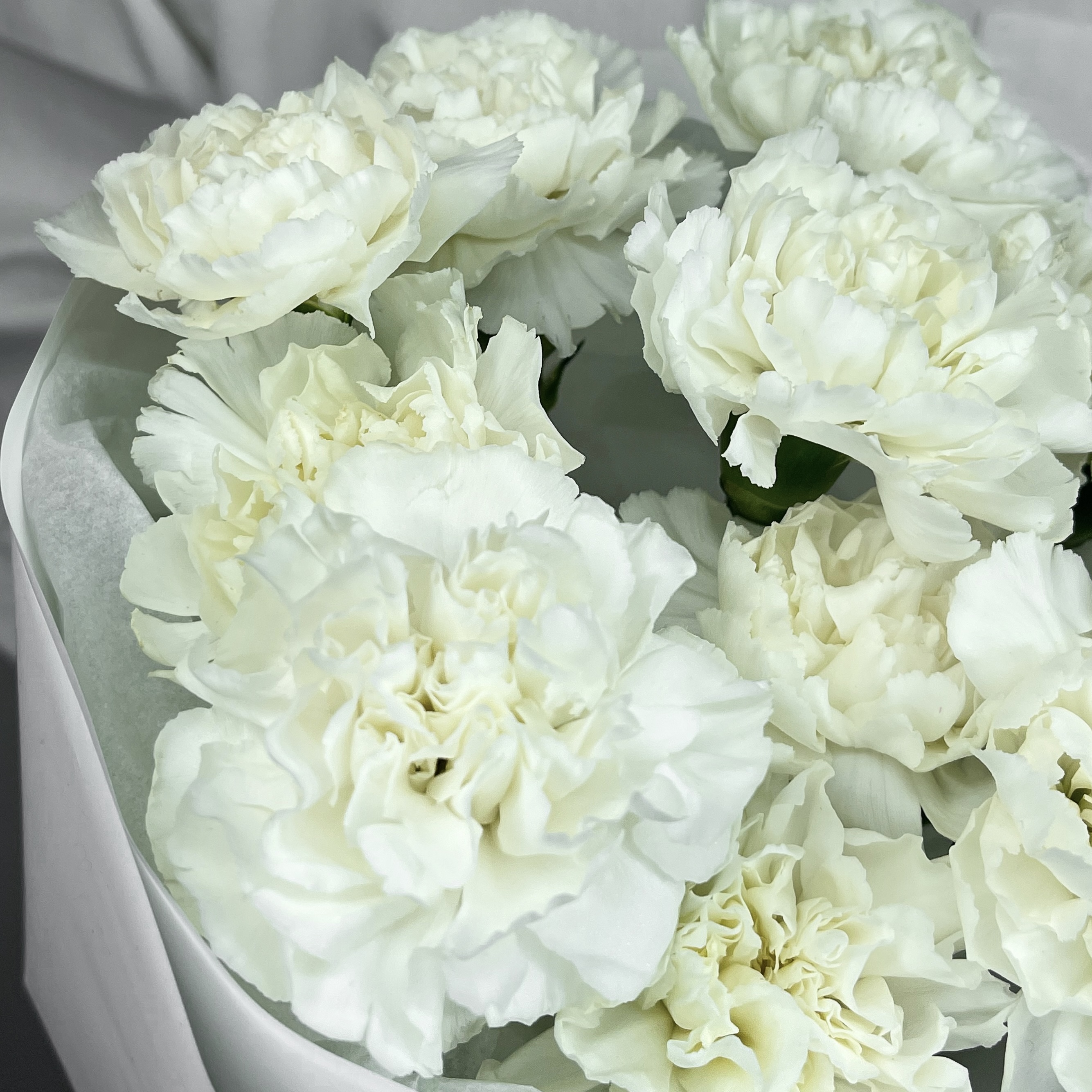 Букет Нежные диантусы