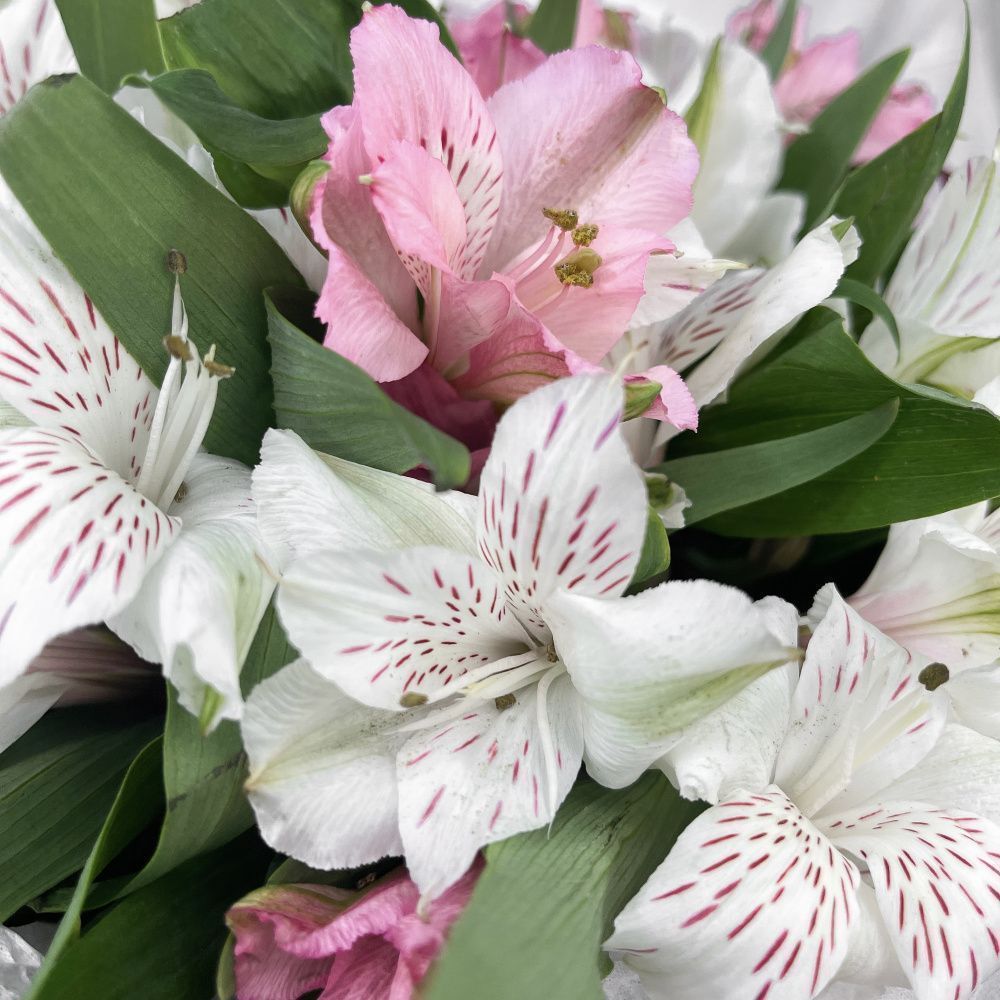 Букет Яркие эмоции