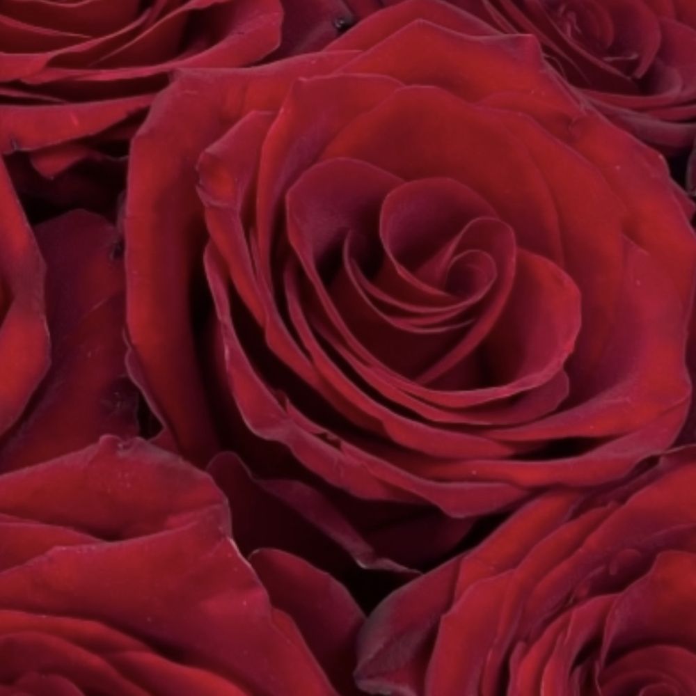 Букет Элегантная классика