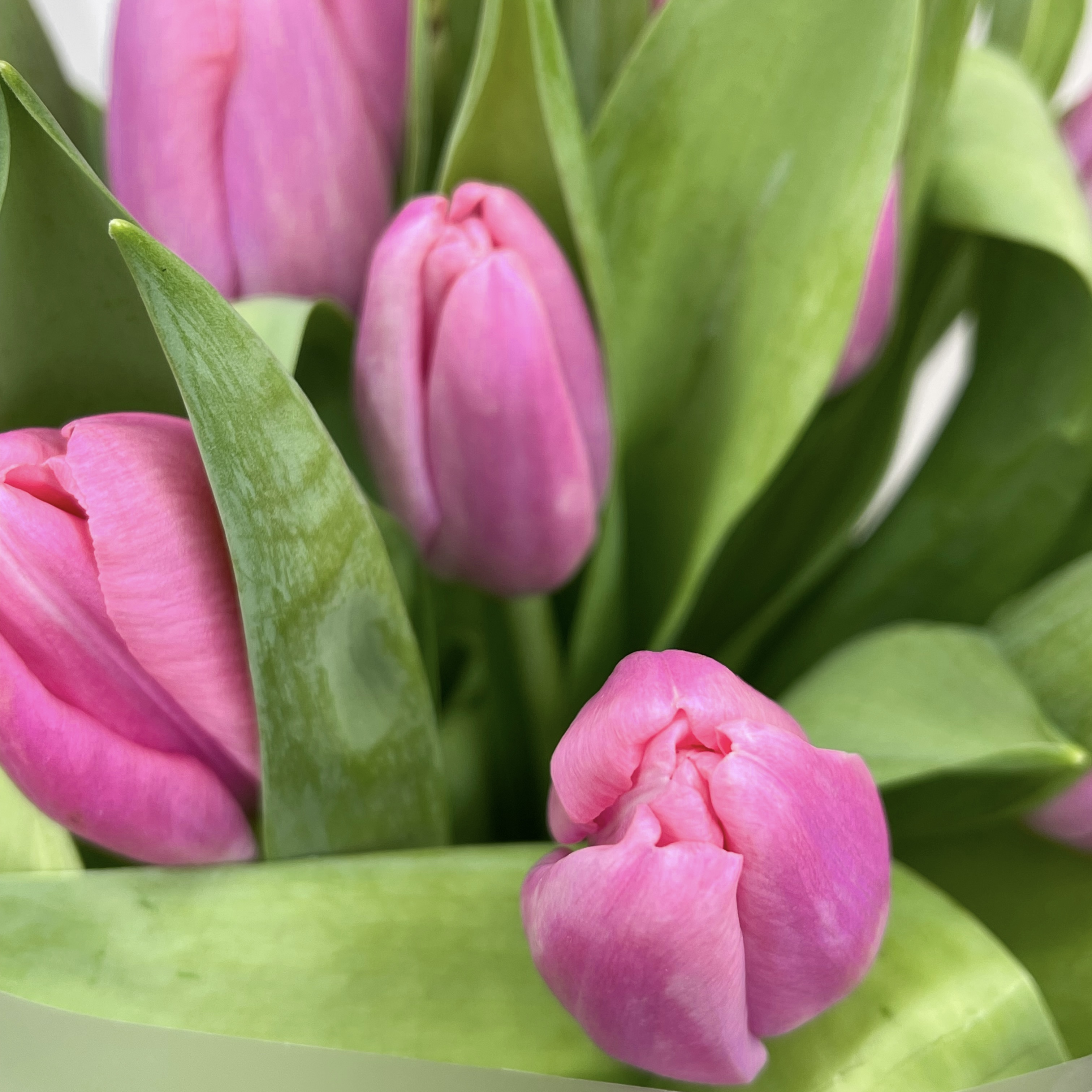 Букет Монобукет из розовых тюльпанов №2