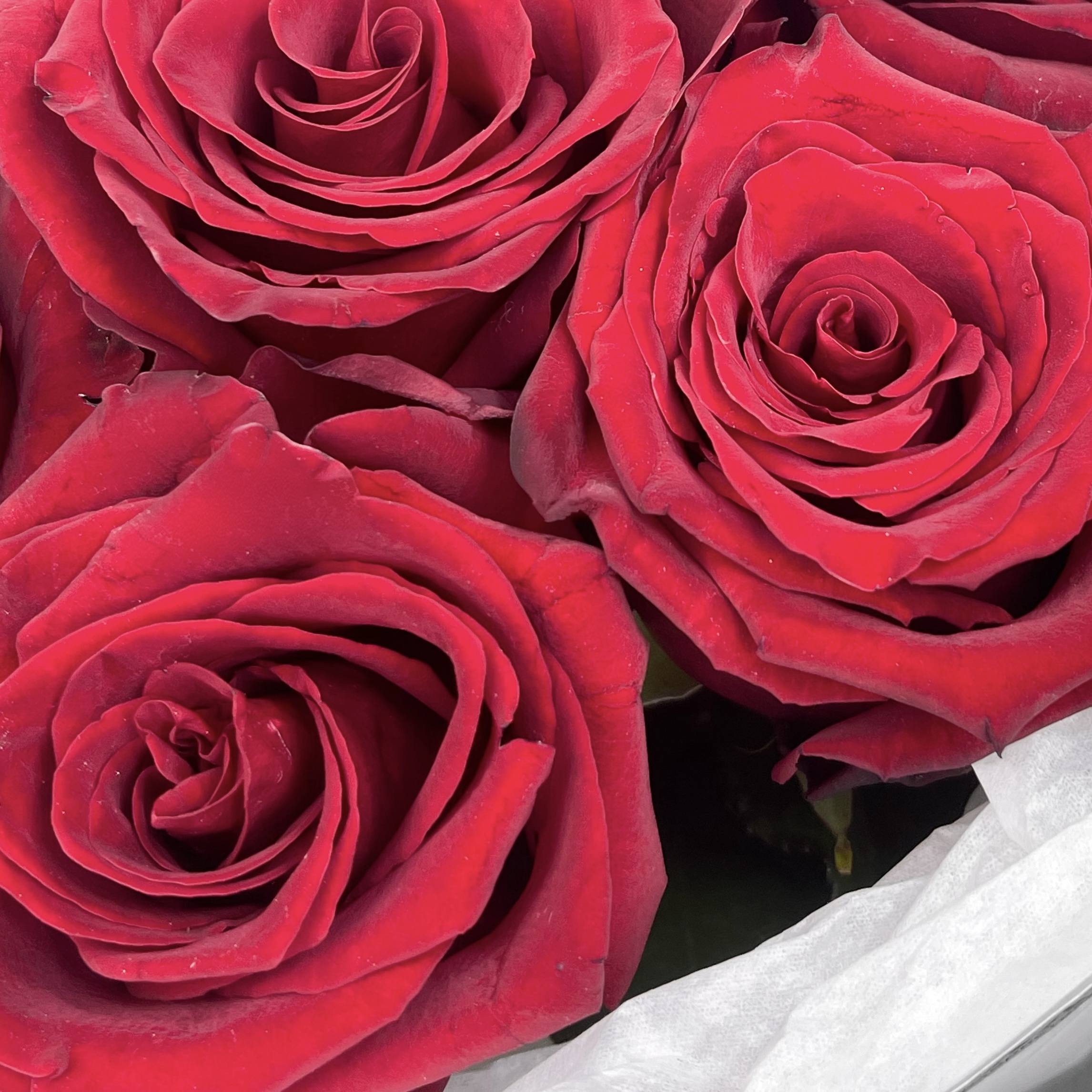 Букет Классика чувств