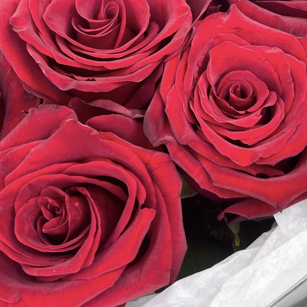 Букет Классика чувств