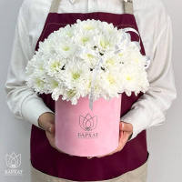 Букет Хризантема в розовом боксе