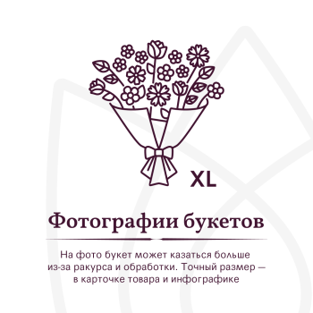 Букет Букет из 51 белой розы в упаковке
